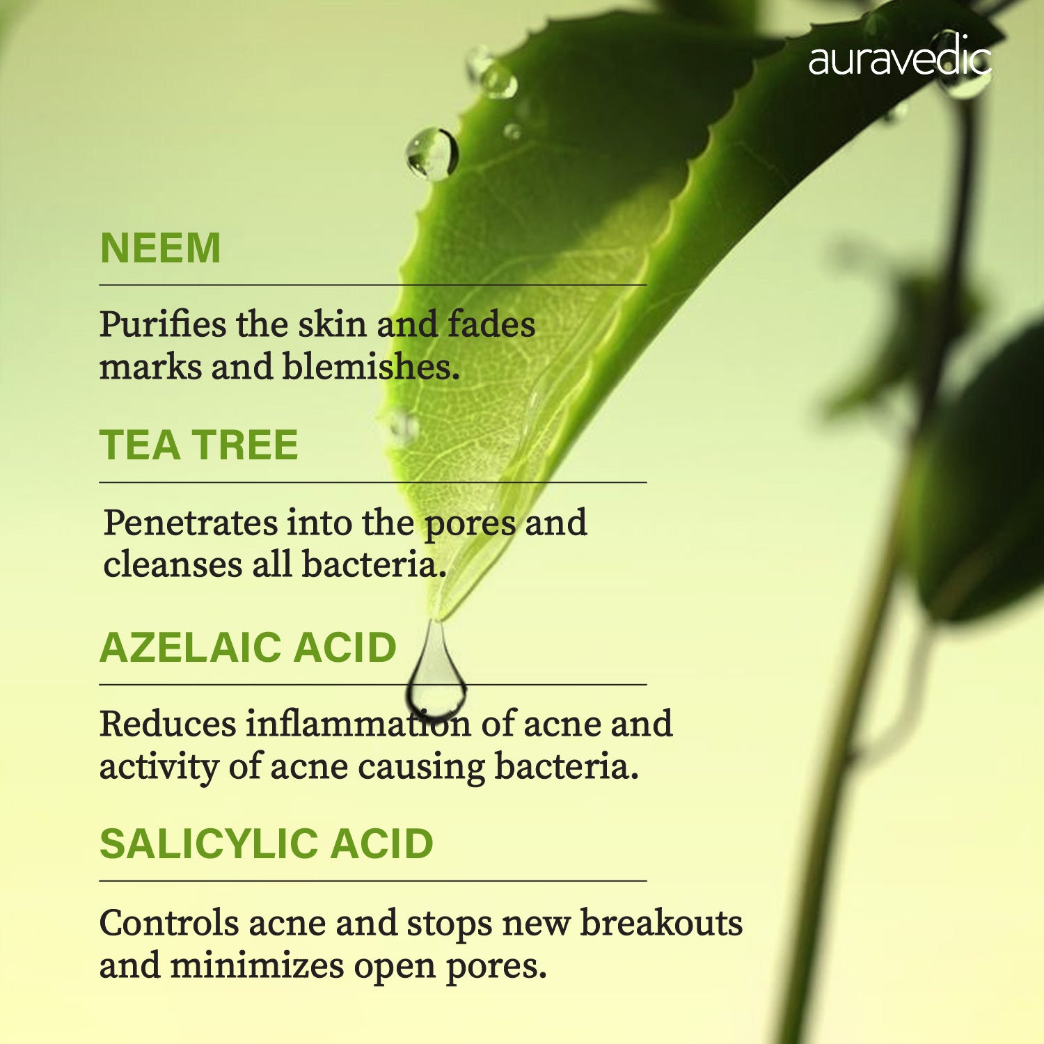 Acne Clearing Face Mask