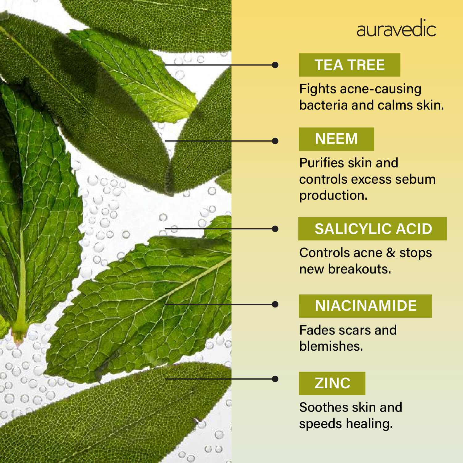 Tea Tree Serum