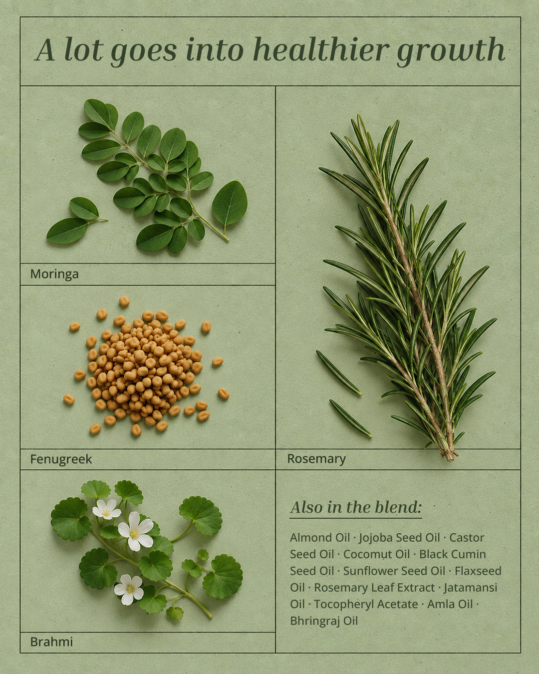 Rosemary Hair Oil
