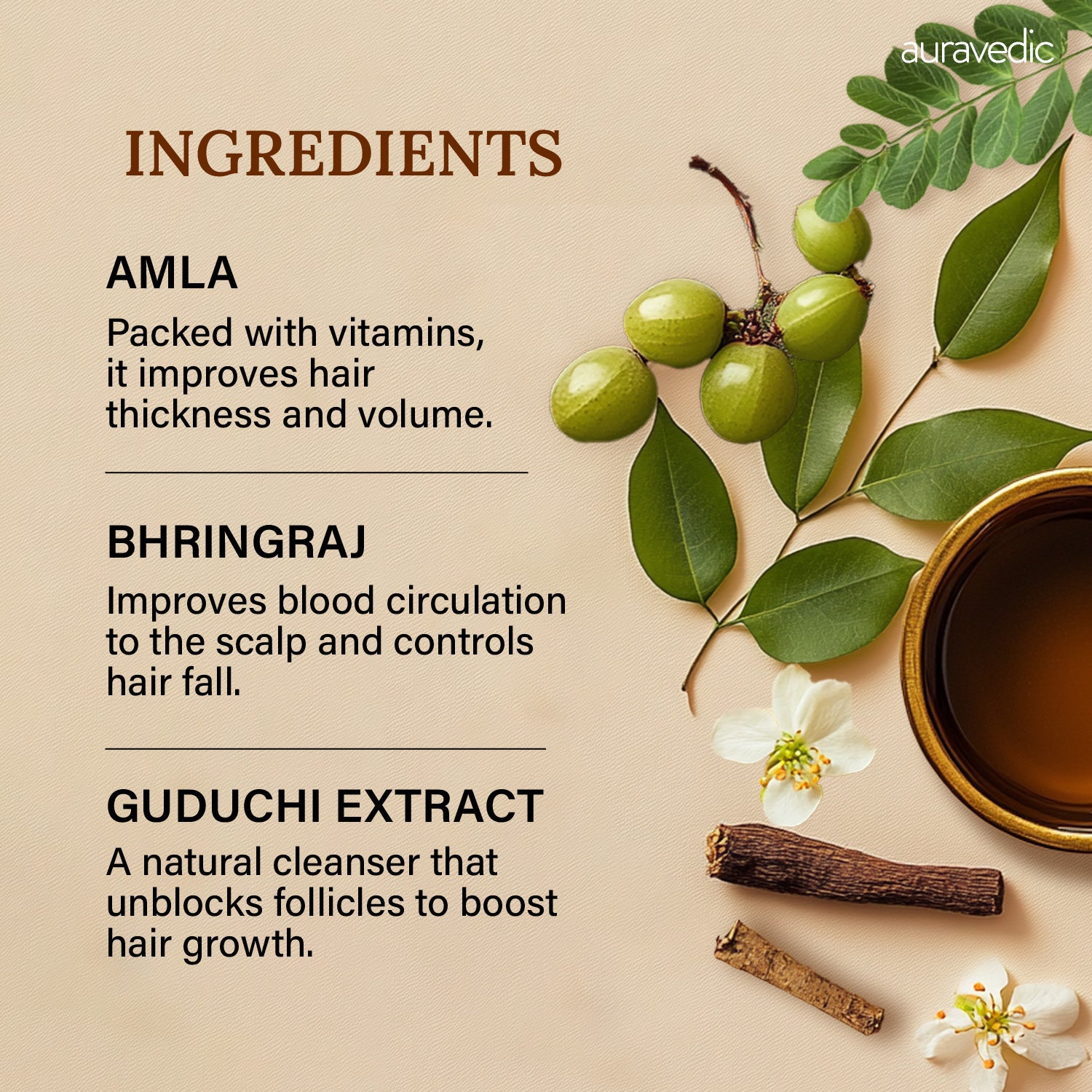 Anti-Hair Fall Oil for Men – Stops Hair Fall, Boosts Growth