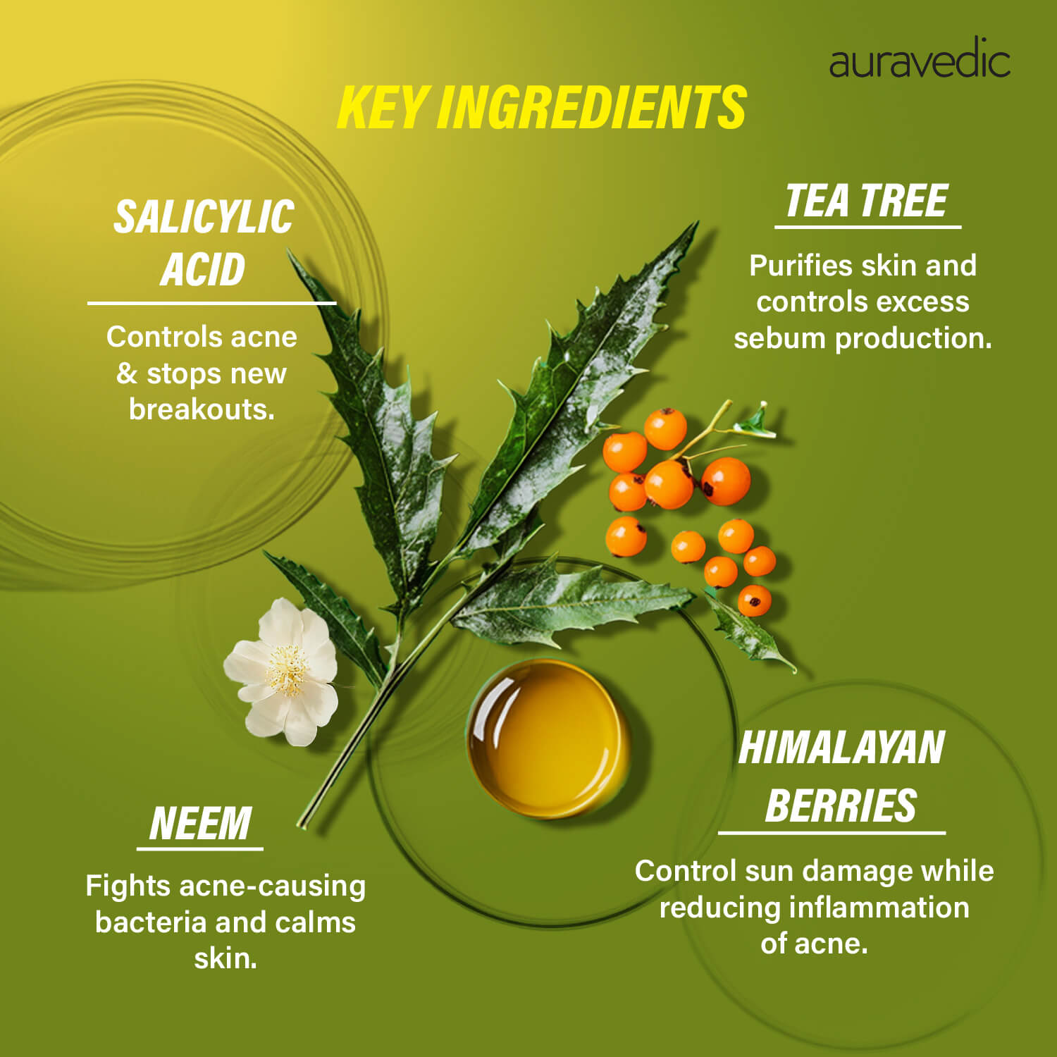 Acne Free in 3 Steps
