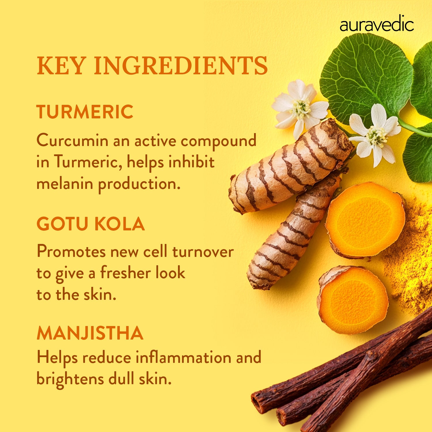 Dark Spot Corrector and Pigmentation Cream