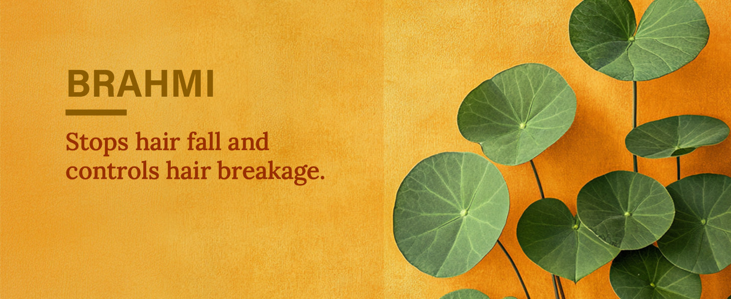Desktop Image