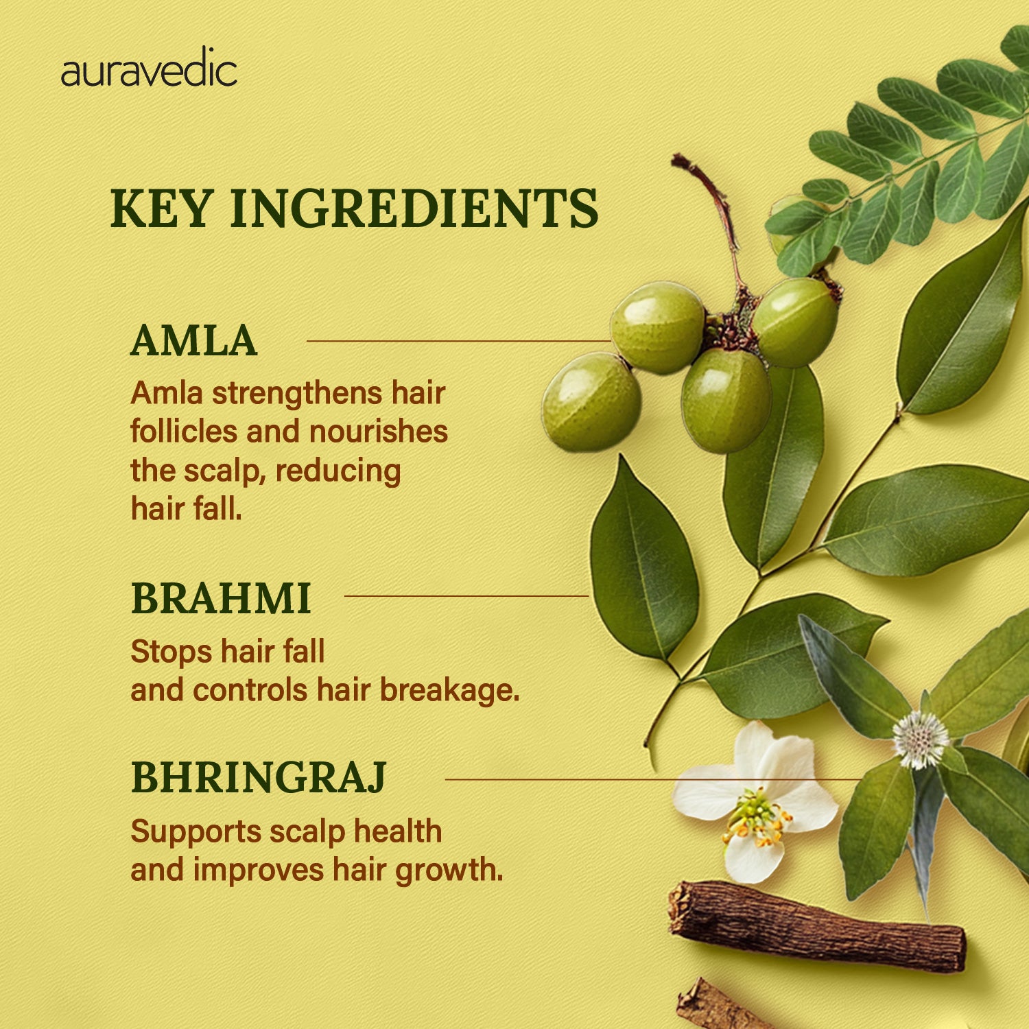 COMPLETE HAIR FALL CONTROL KIT