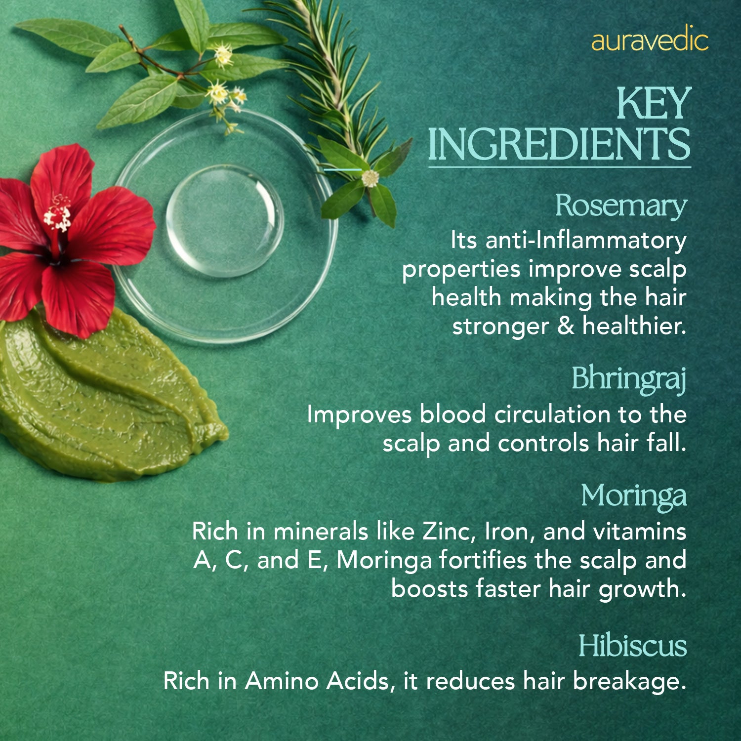ROSEMARY HAIR GROWTH KIT
