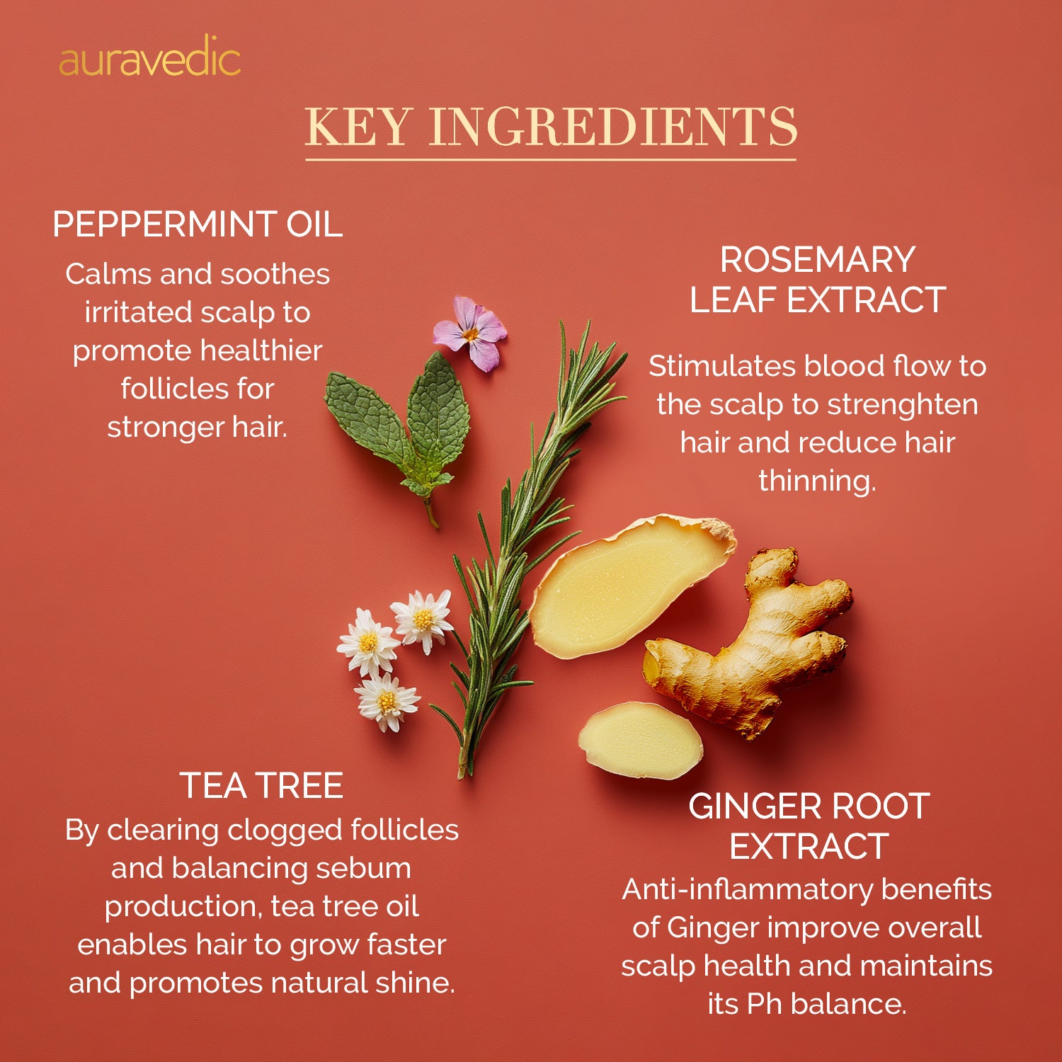 Rosemary Hair Mist