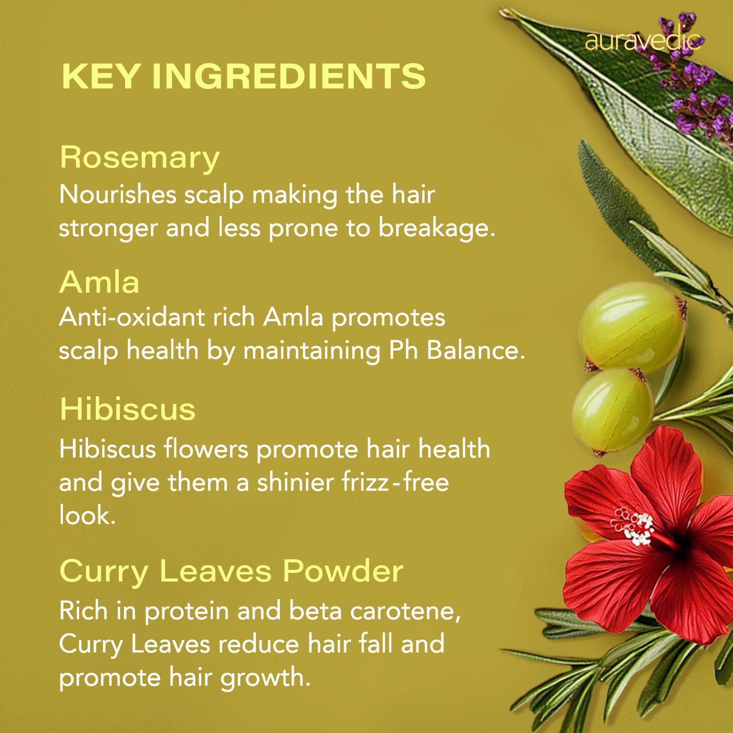 Rosemary Hair Repair