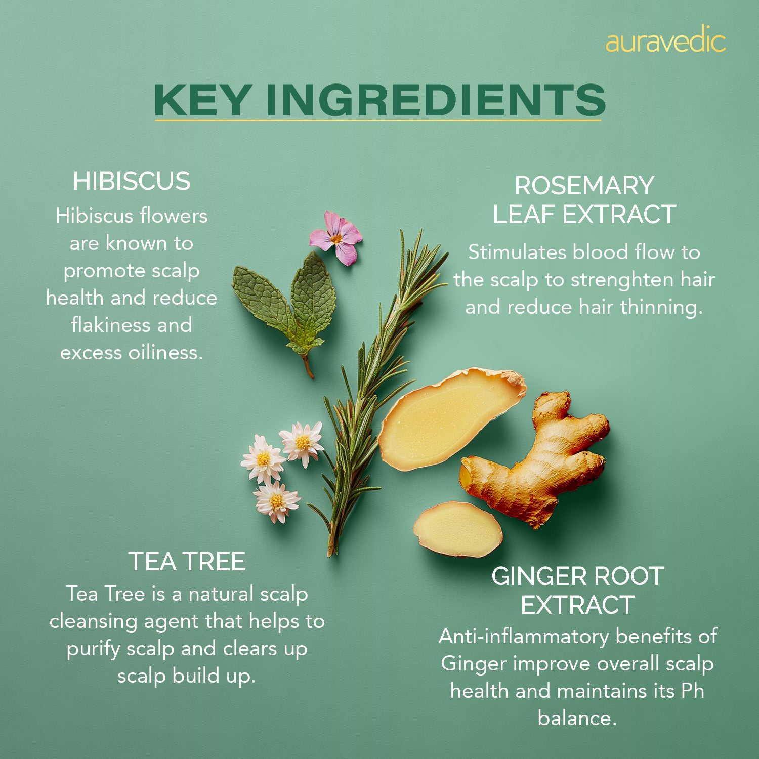 Rosemary Hair Protection