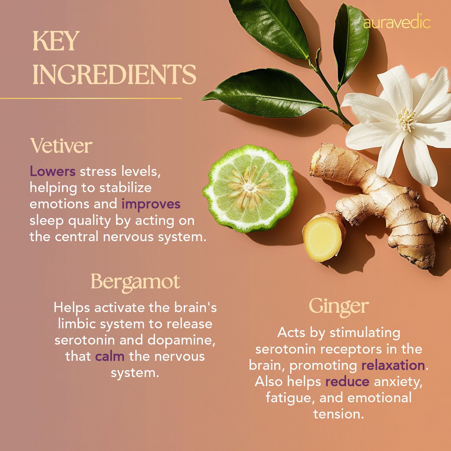 Vetiver Bergamot Body Oil